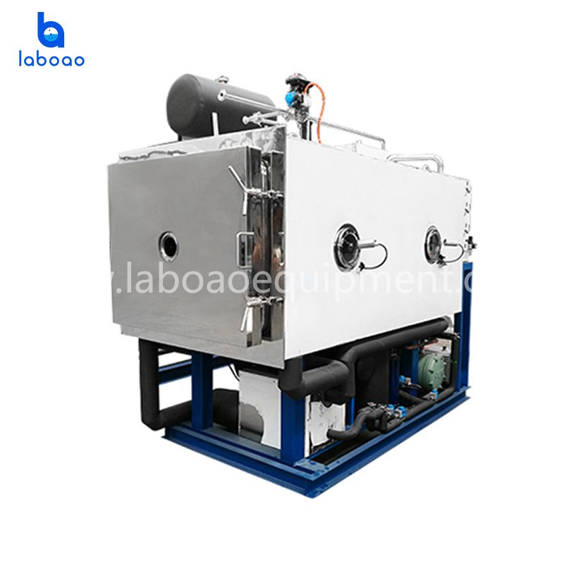 20kg Vacuum Fruit Freeze Dryer Machine