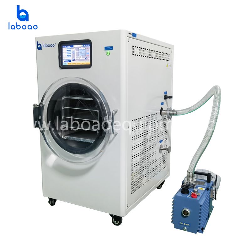 6-7kg Freeze Dryer Lyophilizer For Fruits And Vegetables