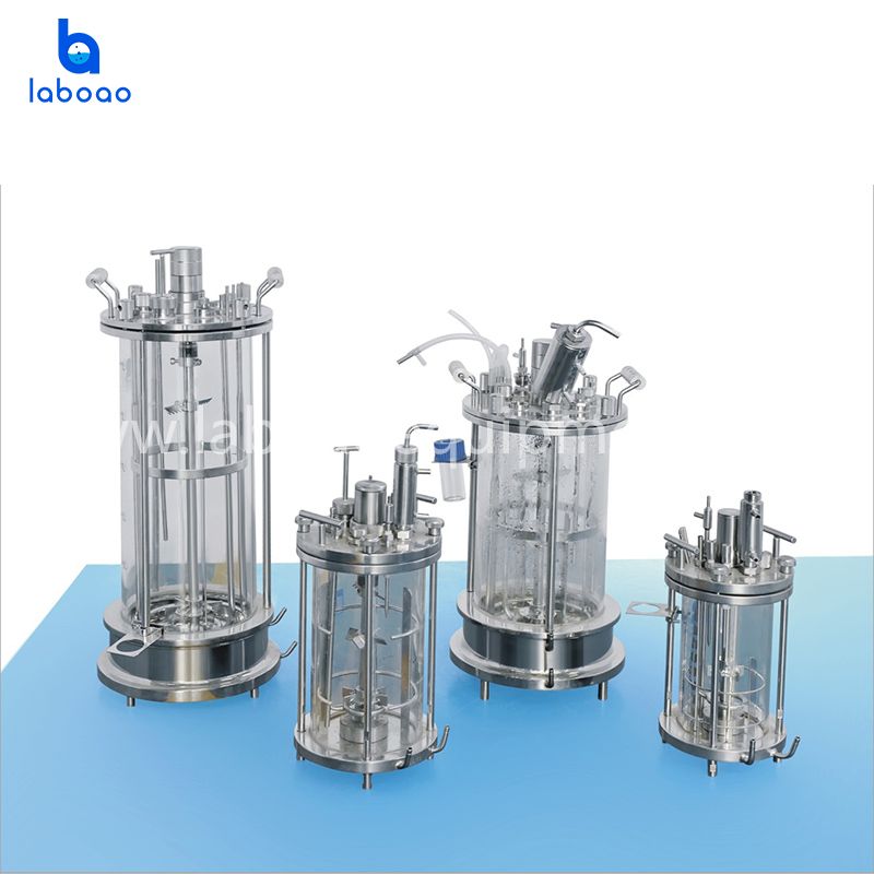 All-glass Tank Off-site Sterilization Fermenter
