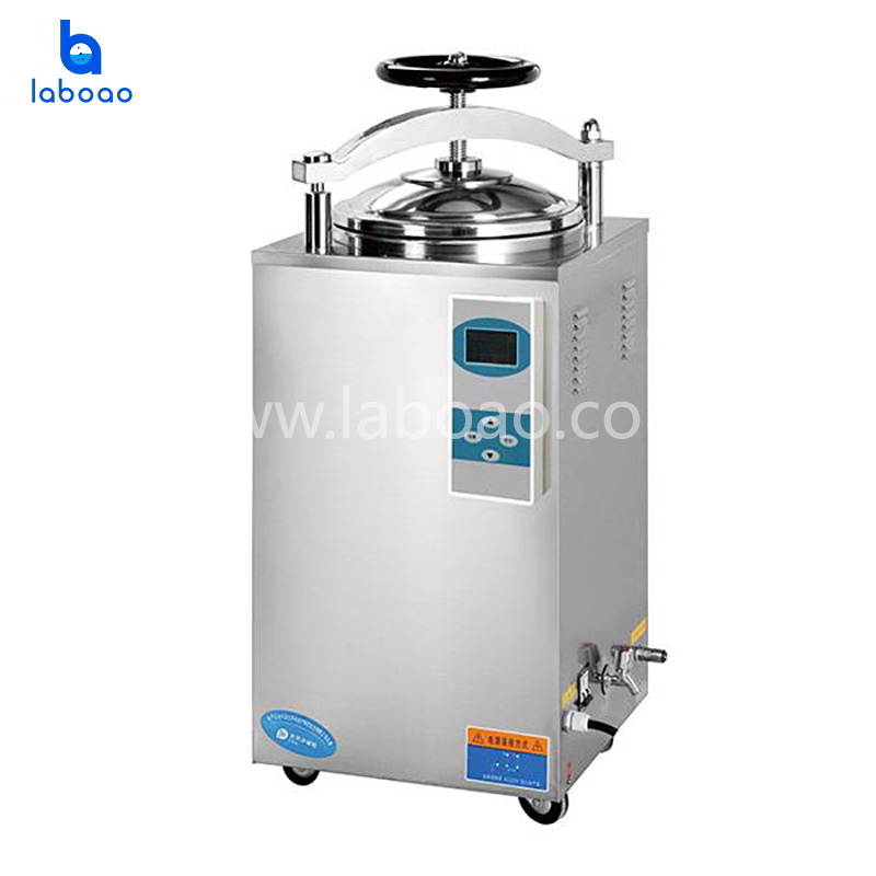 Automatic steam sterilizer quick open type