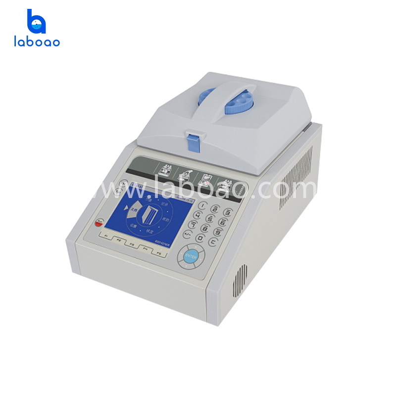 Basic Economic Thermal Cycler With Large LCD Screen