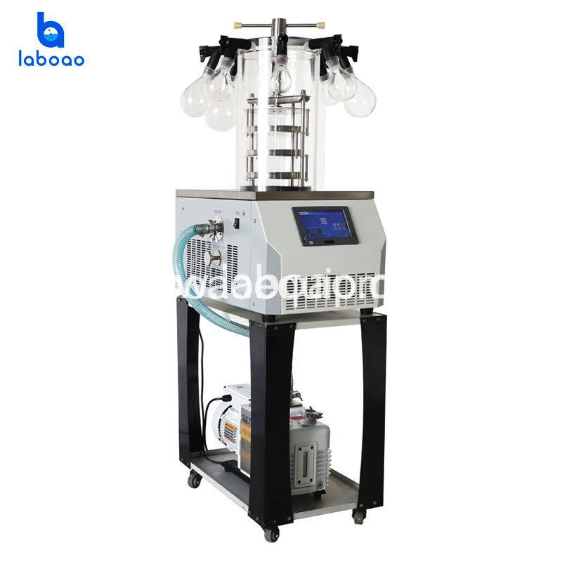 0.08㎡ Benchtop Manifold Top Press Lab Freeze Dryer