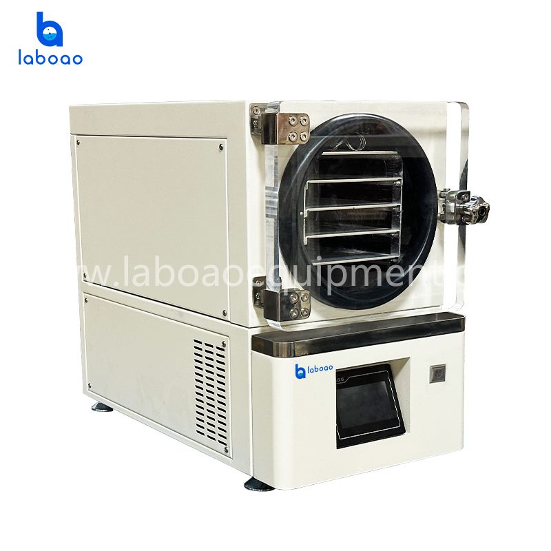 Benchtop Mini Vacuum Freeze Dryer With Built-in Vacuum Pump