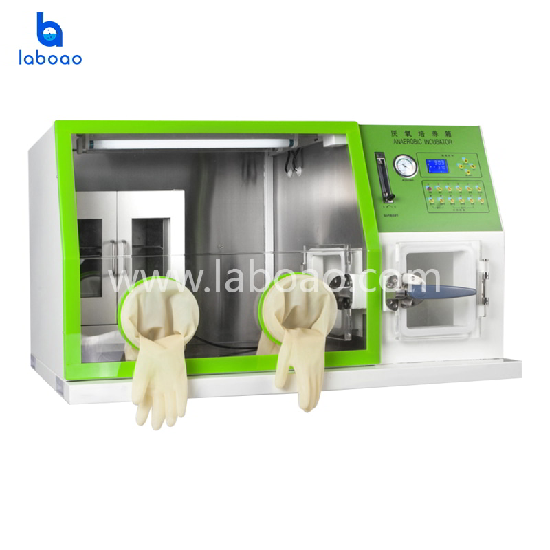 Desktop Anearobic Incubator With LCD Screen