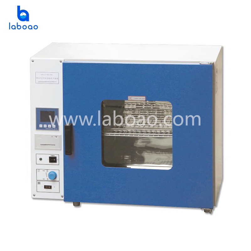 Desktop Precision Electric Heating Constant Temperature Air Drying Oven
