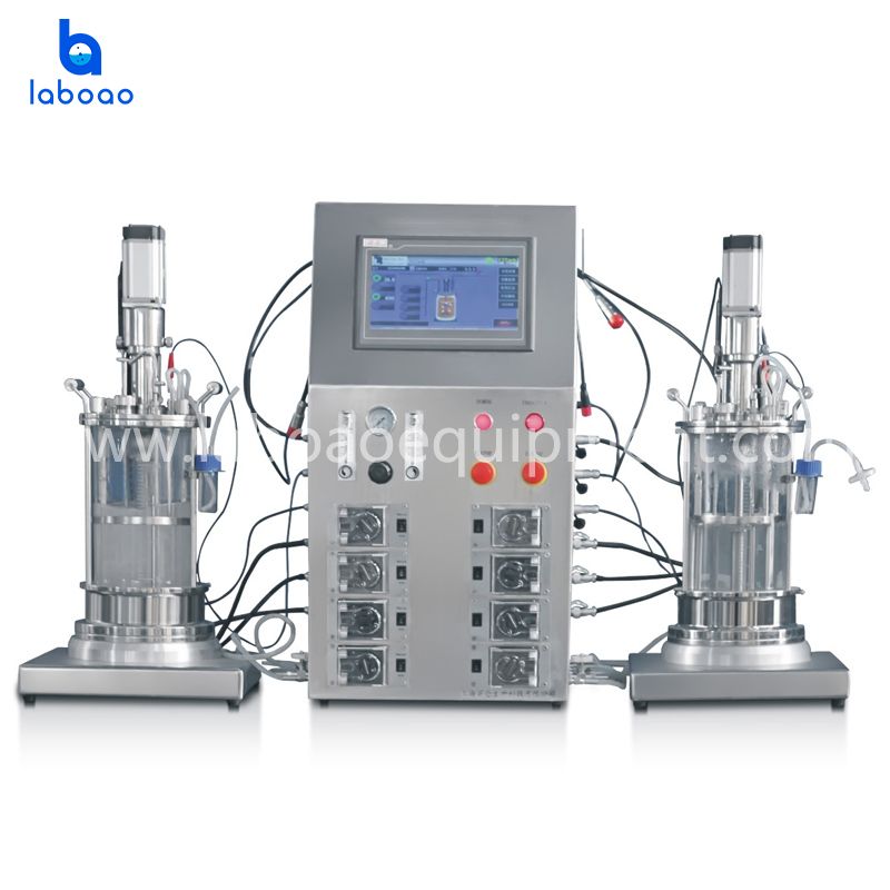 Desktop Two Conjoined Sterilization Glass Bioreactor Fermenter
