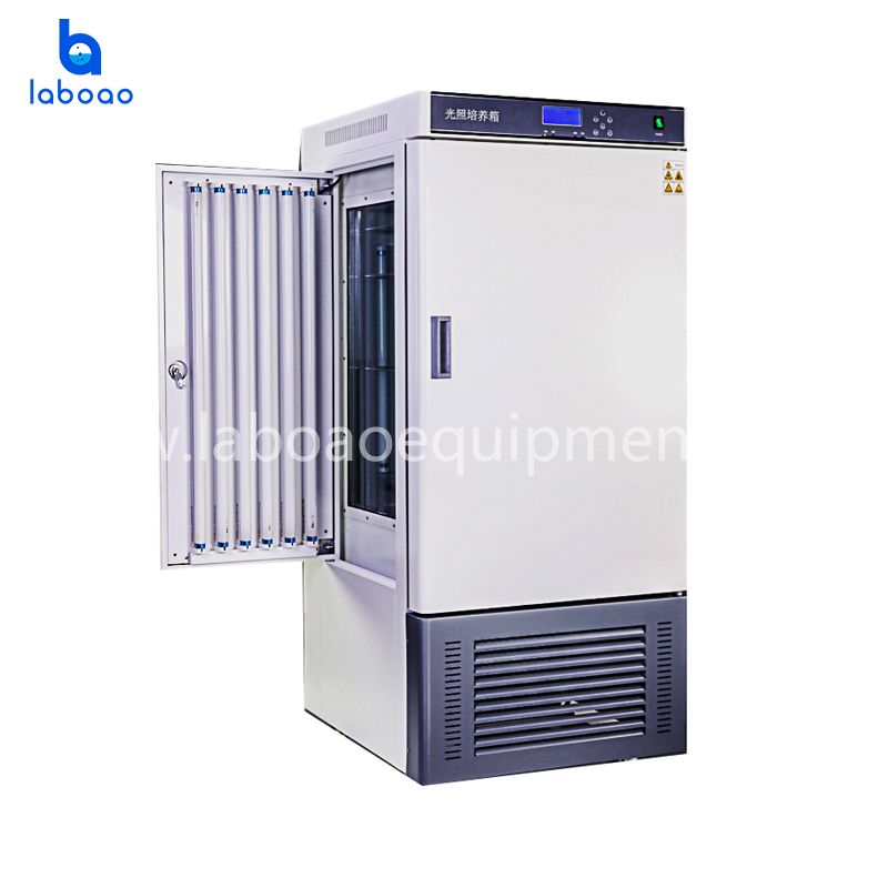 Light Incubator Machine For Laboratory