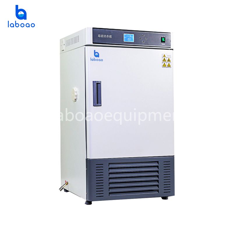 Mold Incubator For Environmental Protection And Health