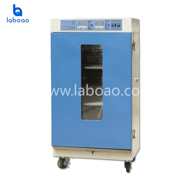 Mold Incubator For Microbial Culture