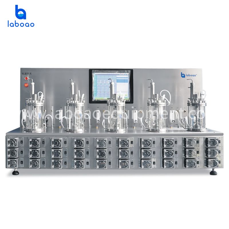 Multiple Parallel Mini Bioreactor