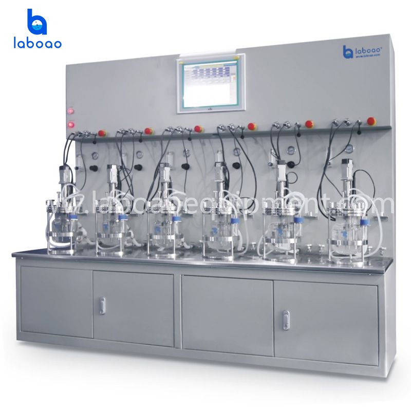 Off-site Sterilization Six-Twelve Conjoined Glass Bioreactor