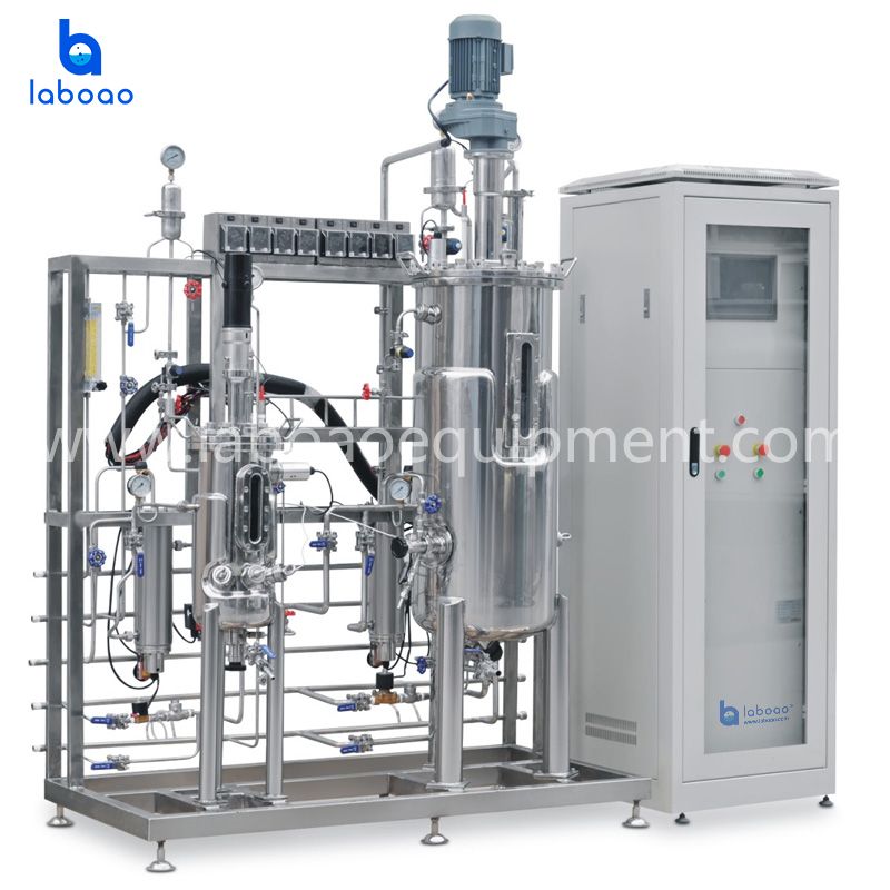 Secondary Stainless Steel Fermenter System