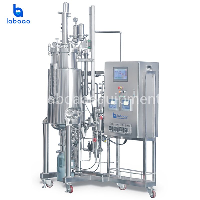 Under Mechanical Stirring Stainless Steel Bioreactors System