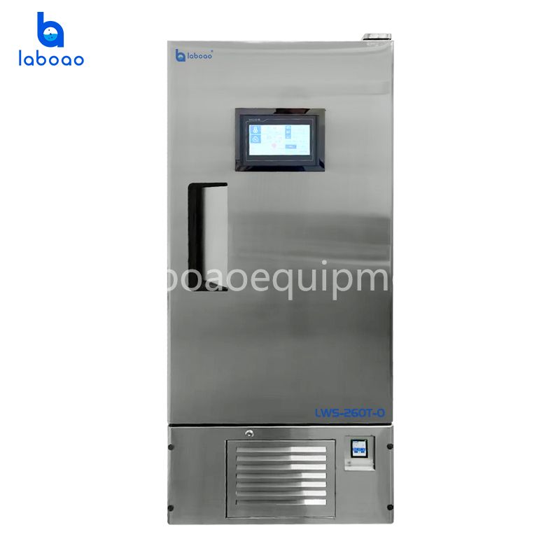 Stainless Steel Thermostatic And Humidity Incubator