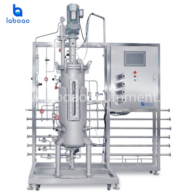 Stainless Steel Upper Mechanical Stirring Bioreactors