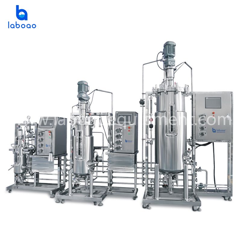 Tertiary Stainless Steel Fermentation System