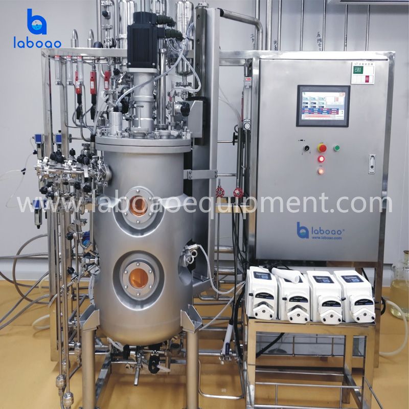 Top Magnetic Mixing Stainless Steel Bioreactors