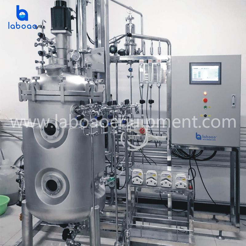 Top Magnetic Mixing Stainless Steel Bioreactors