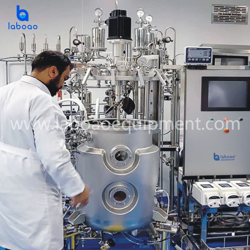 Top Magnetic Mixing Stainless Steel Bioreactors