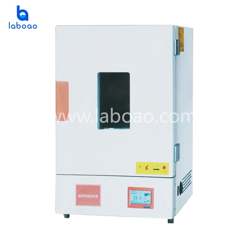 Vertical Precision Electric Heating Constant Temperature Air Drying Oven