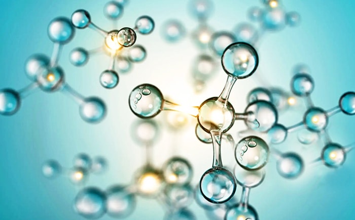 Molecular Biology & Genomics