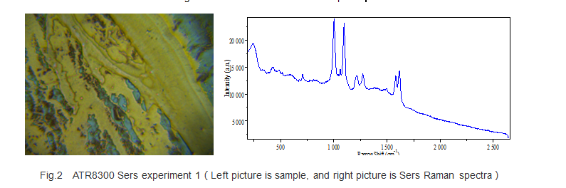 sers-raman-spectra.png