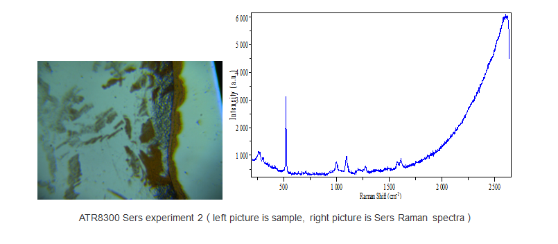 sers-raman-spectra-detected.png